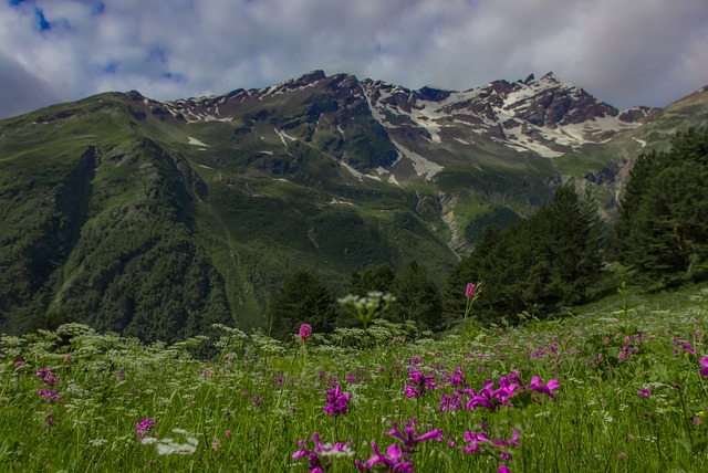 elbrus-region-854218_640.jpg